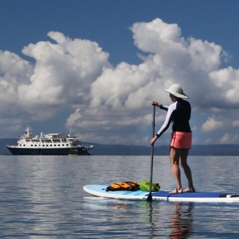PANHTL25_SafariVoyager_UNcruiseAdventures_experiences_freewithcredit-9