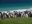 ARG_Falkland_FamTrip15_KM_free ARG_Falkland_FamTrip15_KM_free