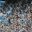 arg11-catch-a-football-match-free-atb