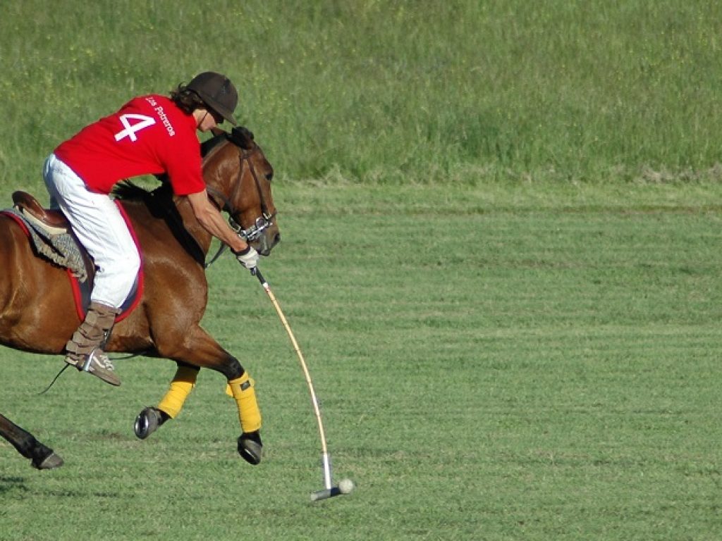 ARG_Polo_banner_LosPotreros_free
