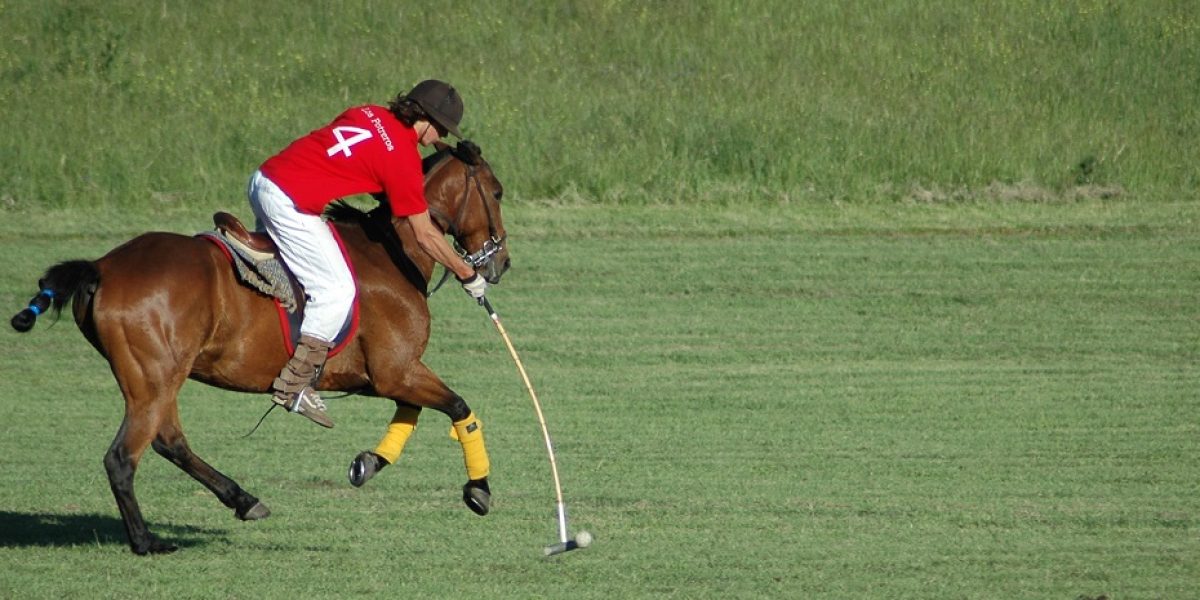 ARG_Polo_banner_LosPotreros_free