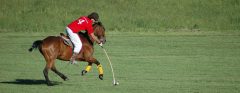 ARG_Polo_banner_LosPotreros_free