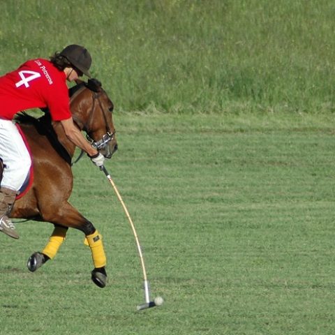 ARG_Polo_banner_LosPotreros_free