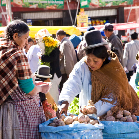 BOL_Market_IndigenousLanguagesOfTheAndes_iStock_freewithcredit
