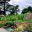 PER_IncaGarden2_TP_free