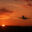 Flight_iStock000001057699_Freewithcredit