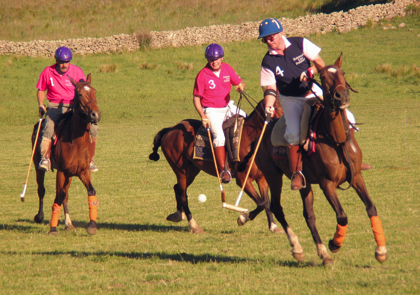 Polo Estancia Los Potreros