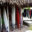 COS__PAP_SurfingImages_KM_Free (2)