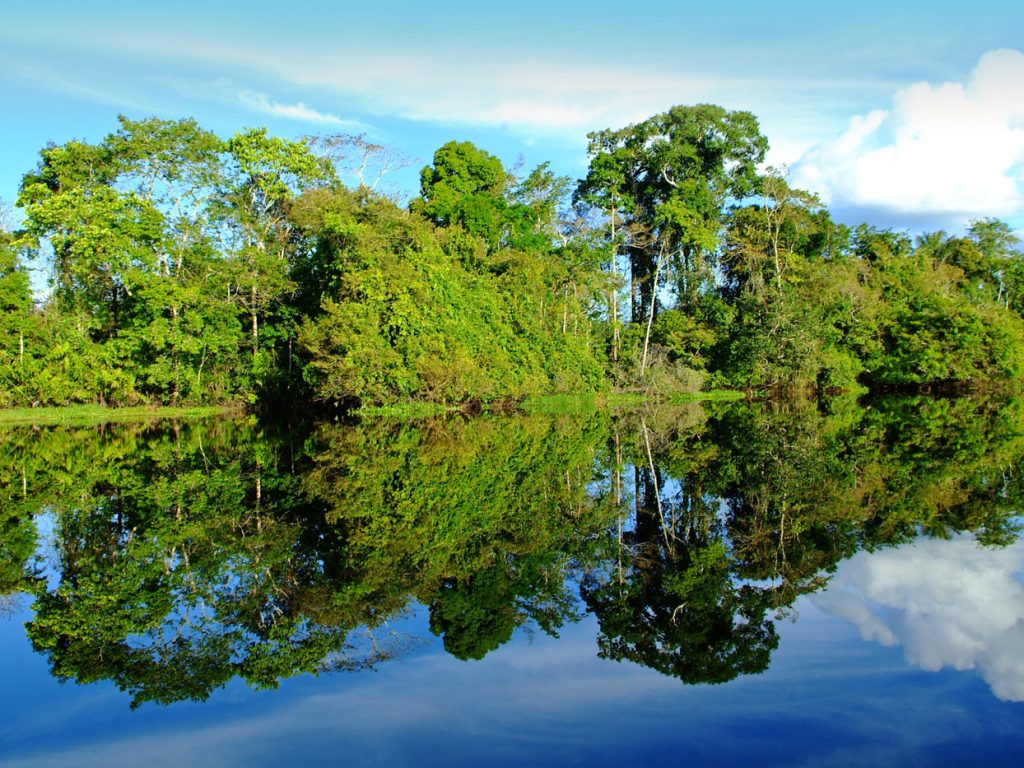 AmazonRiver_GreatRiverCrusies_FREE