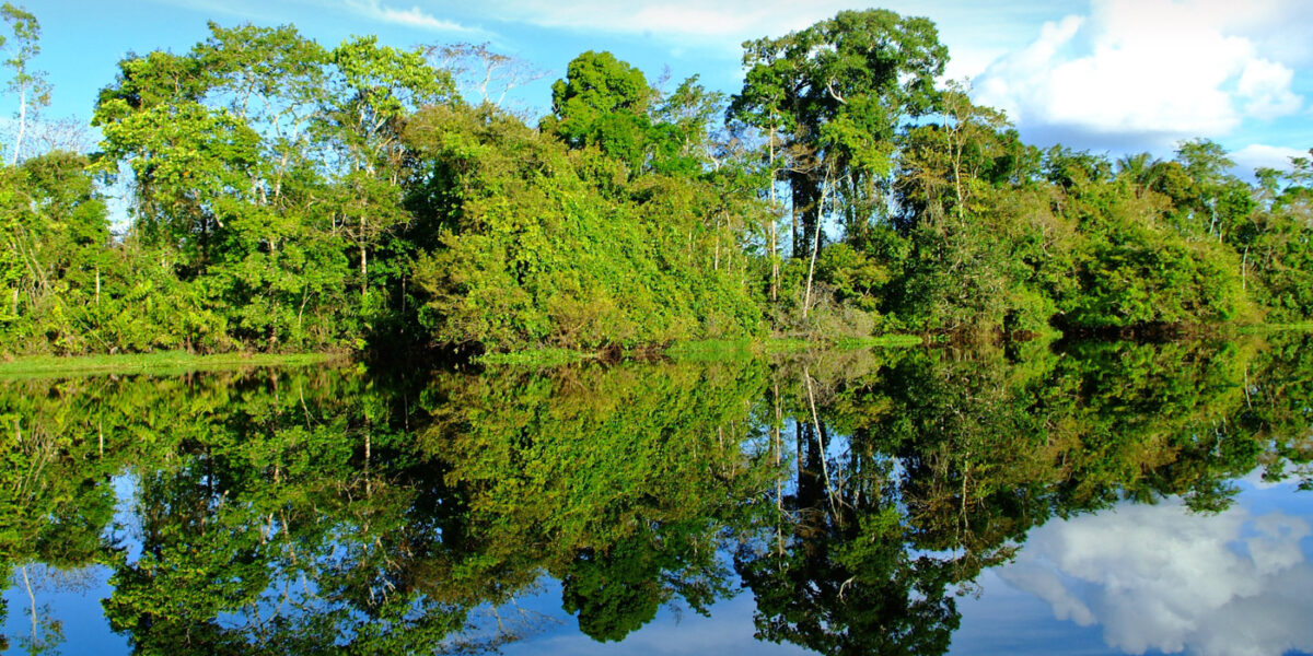 AmazonRiver_GreatRiverCrusies_FREE