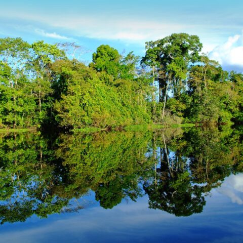 AmazonRiver_GreatRiverCrusies_FREE