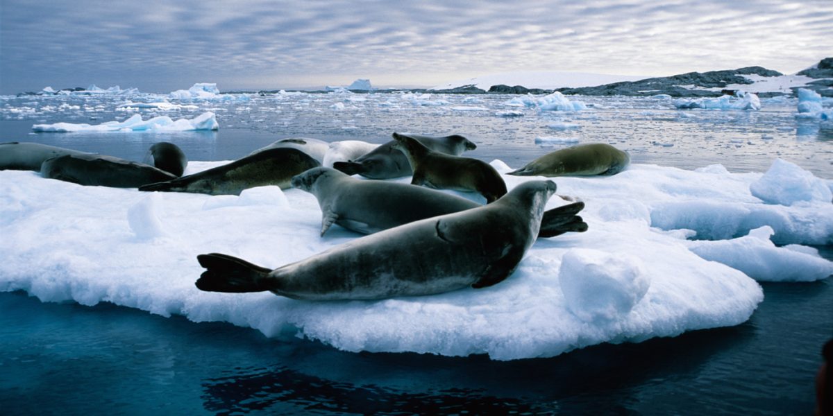 ANT_AntarcticCircle_iStock_000001462571_Free