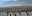 ANT_SouthGeorgia_StAndrewsBay_KingPenguins_LMF_free penguins