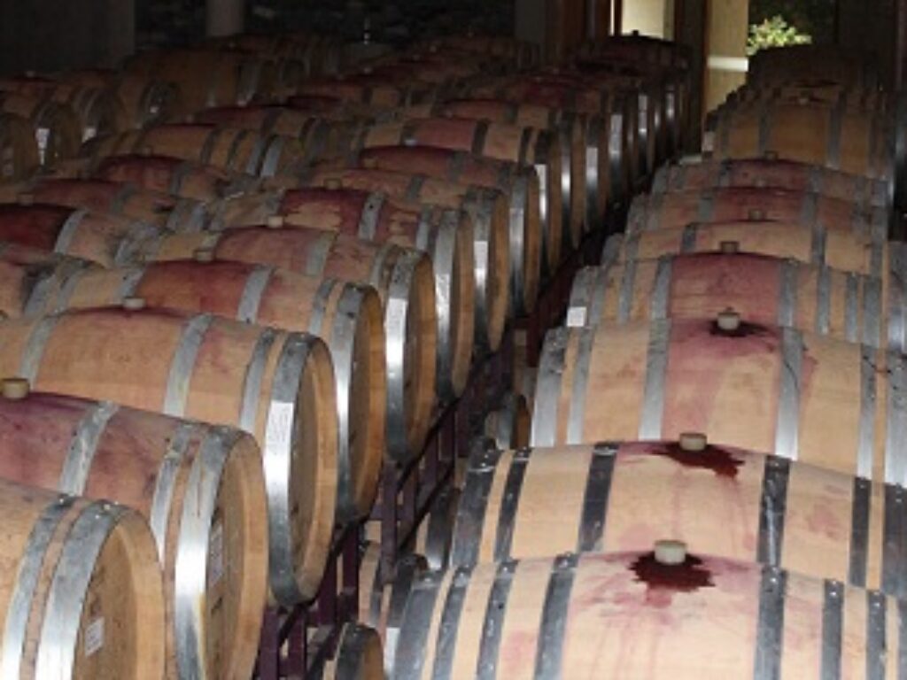 ARG_HowToWineTasteLikeAProfesional_HB_free