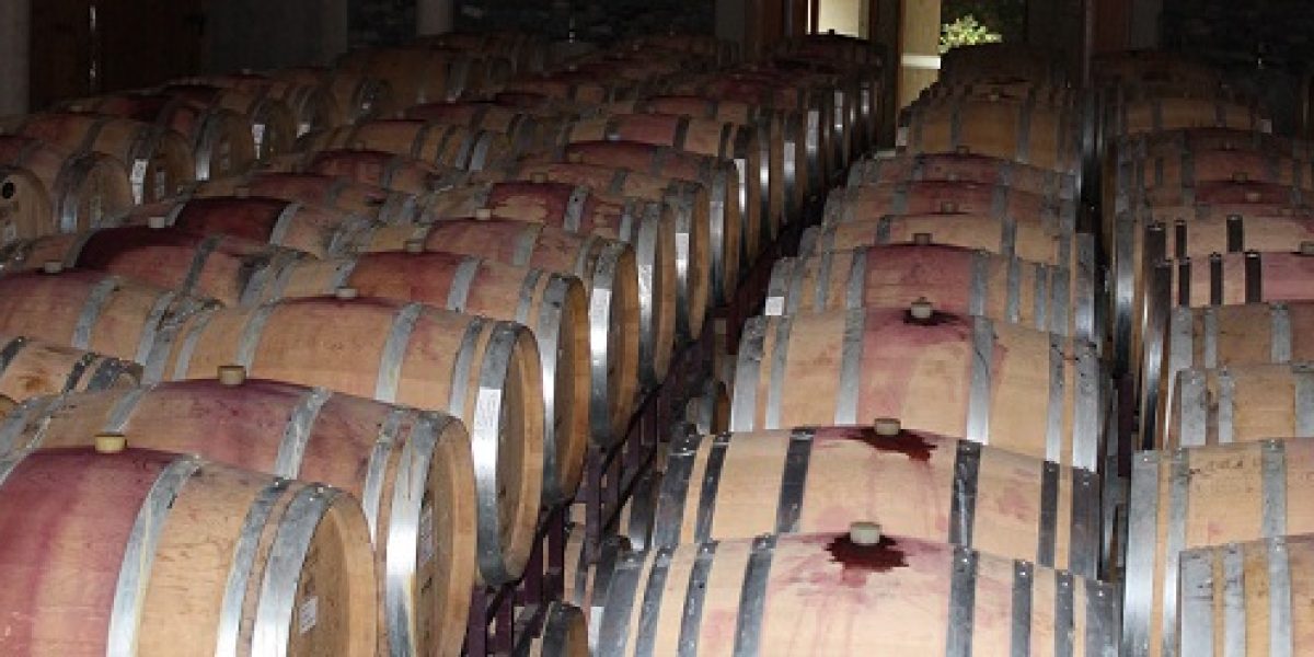ARG_HowToWineTasteLikeAProfesional_HB_free