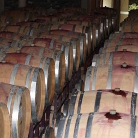ARG_HowToWineTasteLikeAProfesional_HB_free