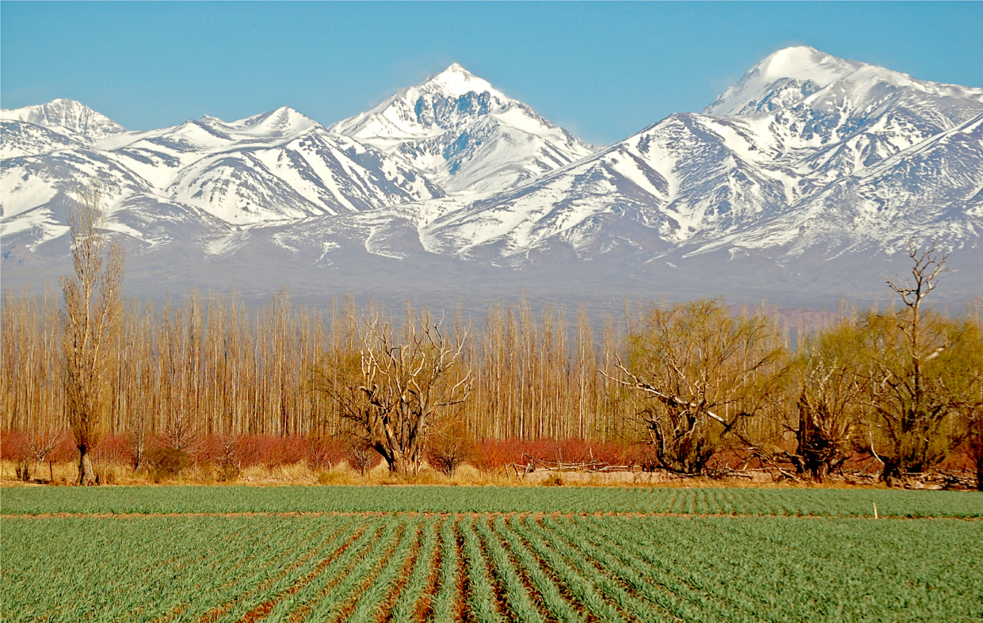 ARG_Mendoza_vienyard_shutterstock36571873_freewithcredit