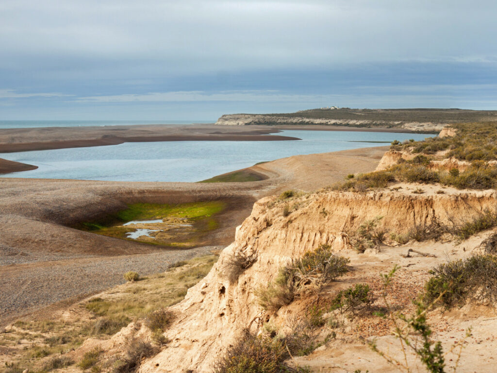 Caleta Valdes in winter