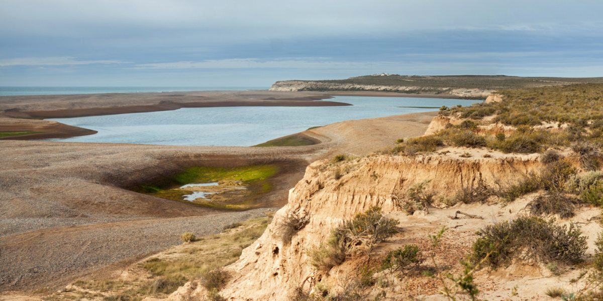 Caleta Valdes in winter