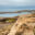 Caleta Valdes in winter
