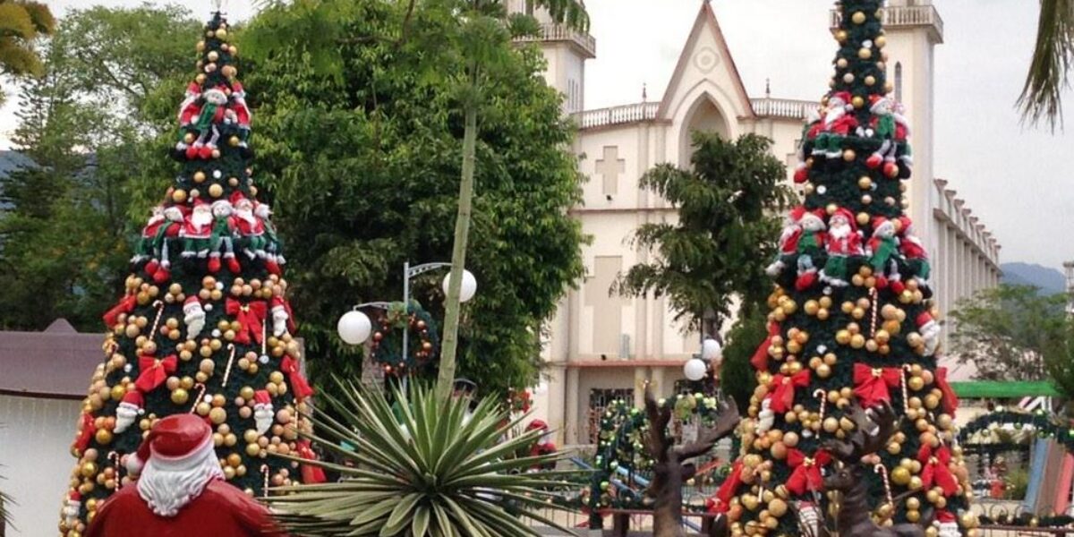 BRA_Praia Grande_Christmas Trees_S Brazil_CJ_Free