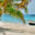 BEL_boatCayes_shutterstock103306586_freewithcredit