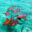 BEL_shark ray alley_BelizeTB_Free