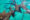BEL_SharkRayAlley_NurseSharks_LRD_free