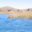 BOL_Lake Titicaca_Quick Facts_LPB (2)