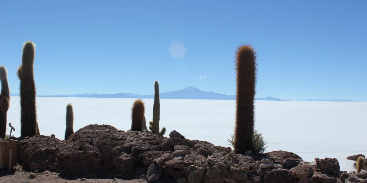 BOL_Uyuni_DavidMason_Client_free (2)