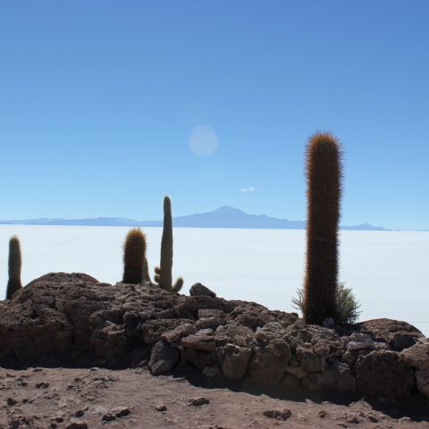 BOL_Uyuni_DavidMason_Client_free (2)