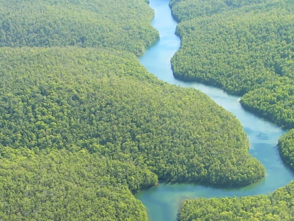 Aerial Photo of brazilian amazon