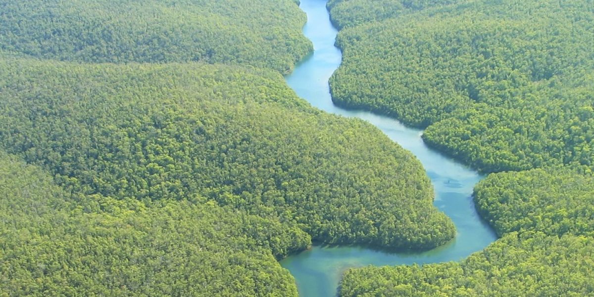 Aerial Photo of brazilian amazon