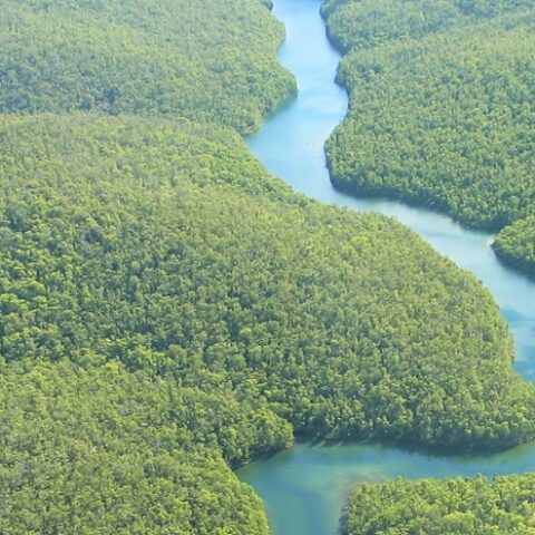 Aerial Photo of brazilian amazon
