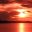 BRA_Amazon_DN_free