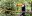 BRA_AmazonToucan_shutterstock154574105_freewithcredit BRA_AmazonToucan_shutterstock154574105_freewithcredit