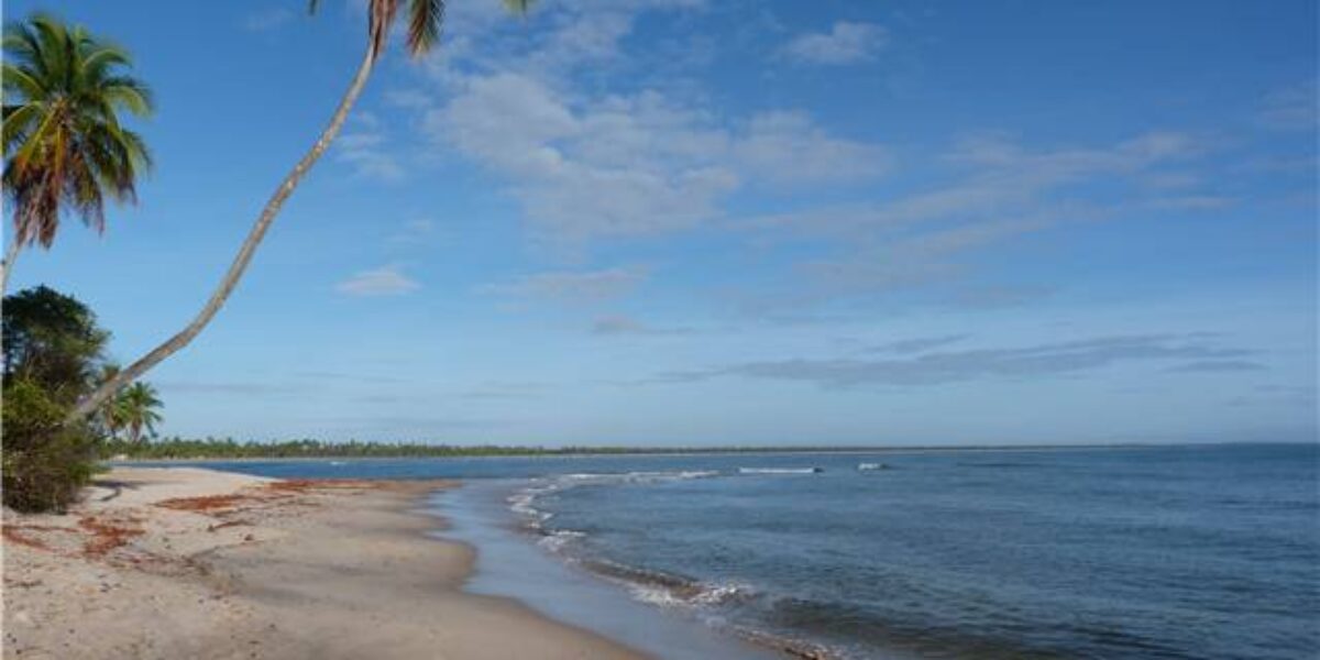 BRA_Bahia_Boipeba_DN_free (3)BRA_Bahia_Boipeba_DN_free (3)