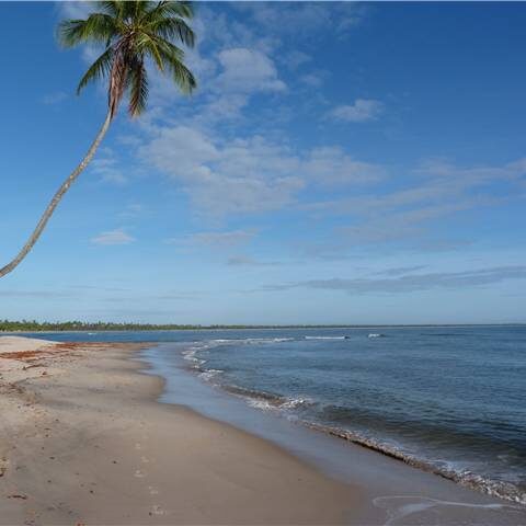 BRA_Bahia_Boipeba_DN_free (3)BRA_Bahia_Boipeba_DN_free (3)