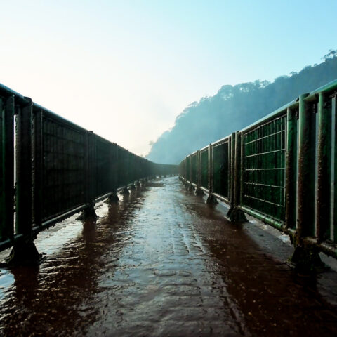 BRA_Iguazu Falls_WalkwaysAtIguazu_TP_Free (1)