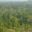 BRA_Jungle_DN_free
