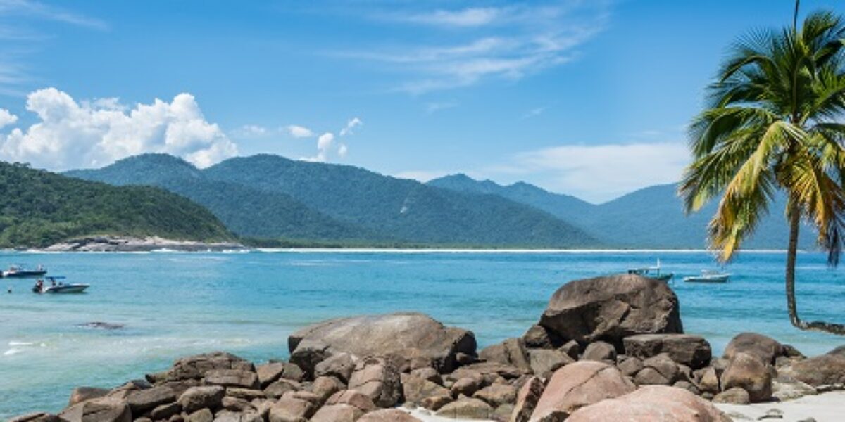 BRA_PalmTreeBeachIlhaGrande_shutterstock197153798_freewithcredit_crop