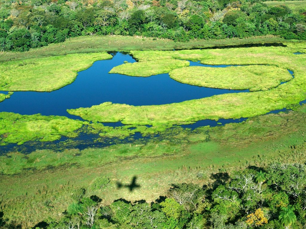 BRA_Pantanal_promo
