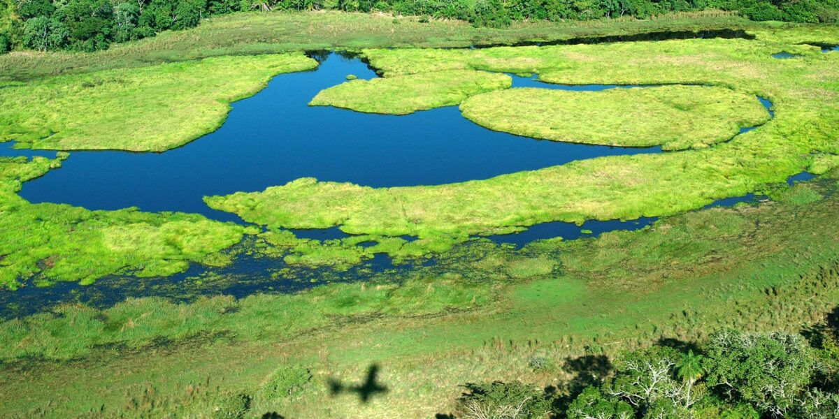 BRA_Pantanal_promo