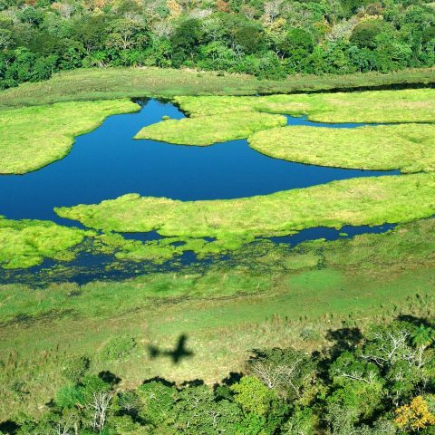 BRA_Pantanal_promo