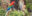 BRA_Pantanal_Scarlet_Macaw_free_shutterstock_343875146 BRA_Pantanal_Scarlet_Macaw_free_shutterstock_343875146