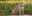 BRA_Pantanal_shutterstock209804161_freewithcreditBRA_Pantanal_shutterstock209804161_freewithcredit BRA_Pantanal_shutterstock209804161_freewithcreditBRA_Pantanal_shutterstock209804161_freewithcredit