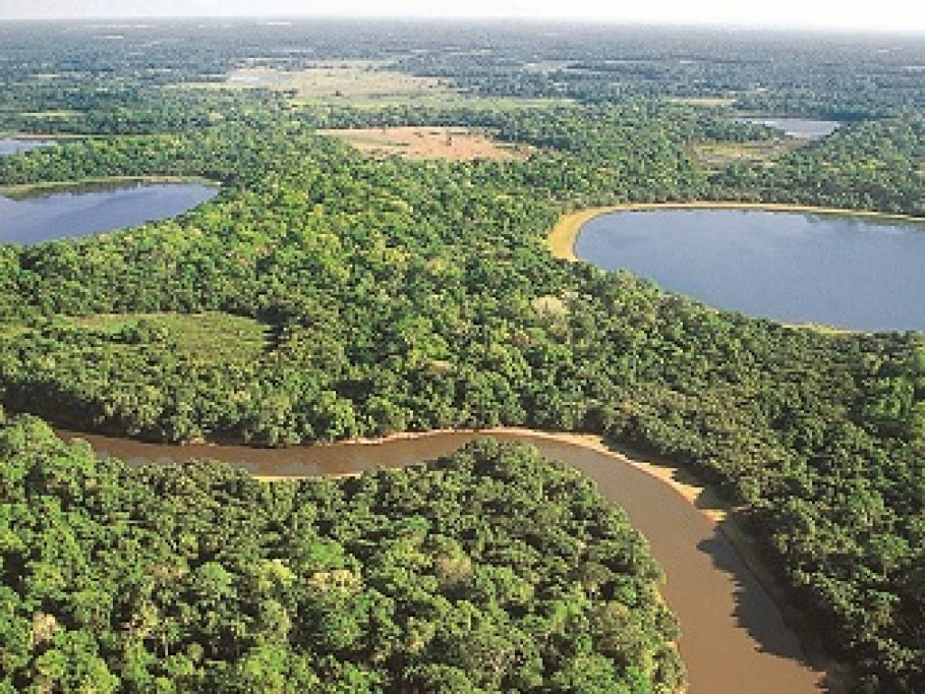 BRA_Patanal_WetlandWonderland_WillR_freewithcredit