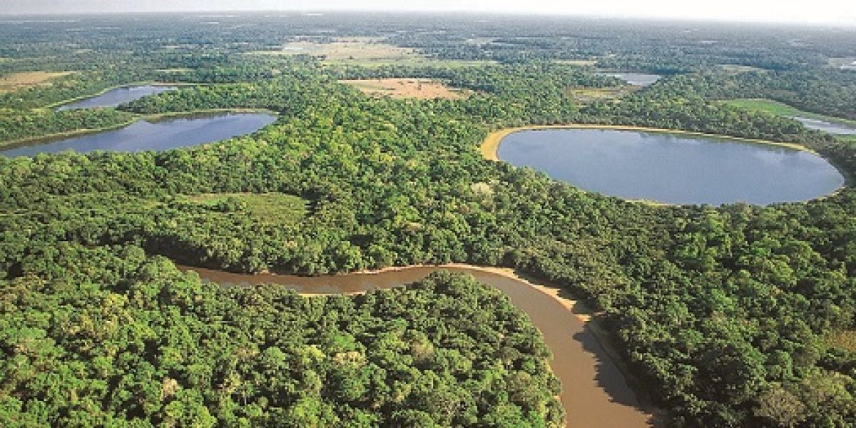 BRA_Patanal_WetlandWonderland_WillR_freewithcredit