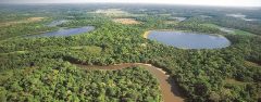BRA_Patanal_WetlandWonderland_WillR_freewithcredit
