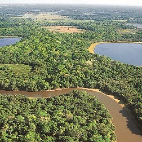 BRA_Patanal_WetlandWonderland_WillR_freewithcredit